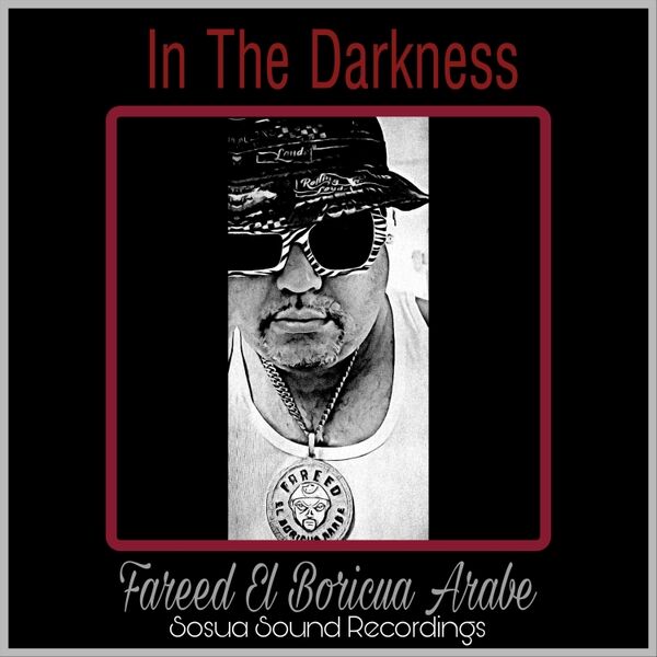 Cover art for In the Darkness